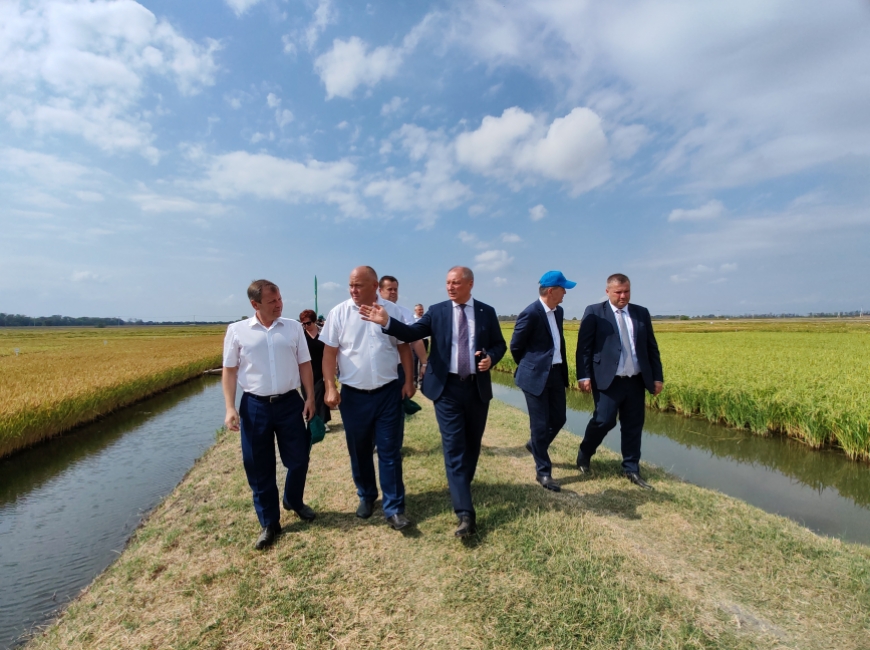 В ФНЦ риса прошел День поля фото 1