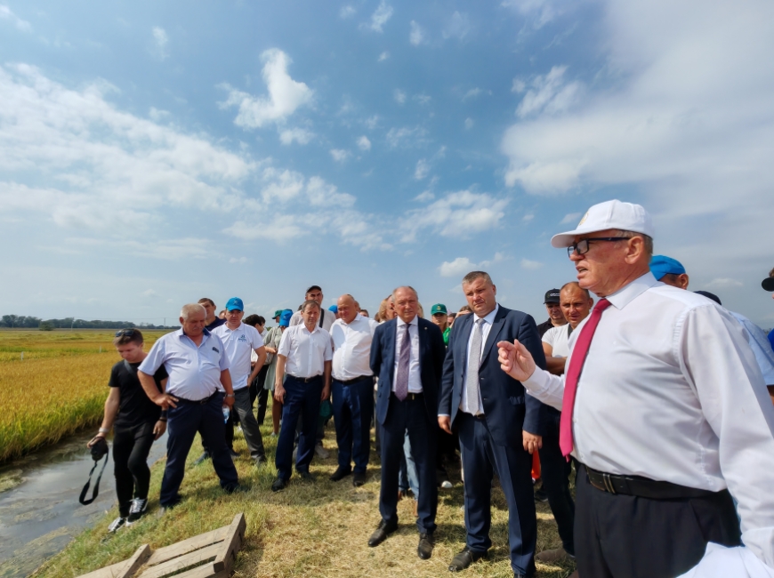 В ФНЦ риса прошел День поля фото 2