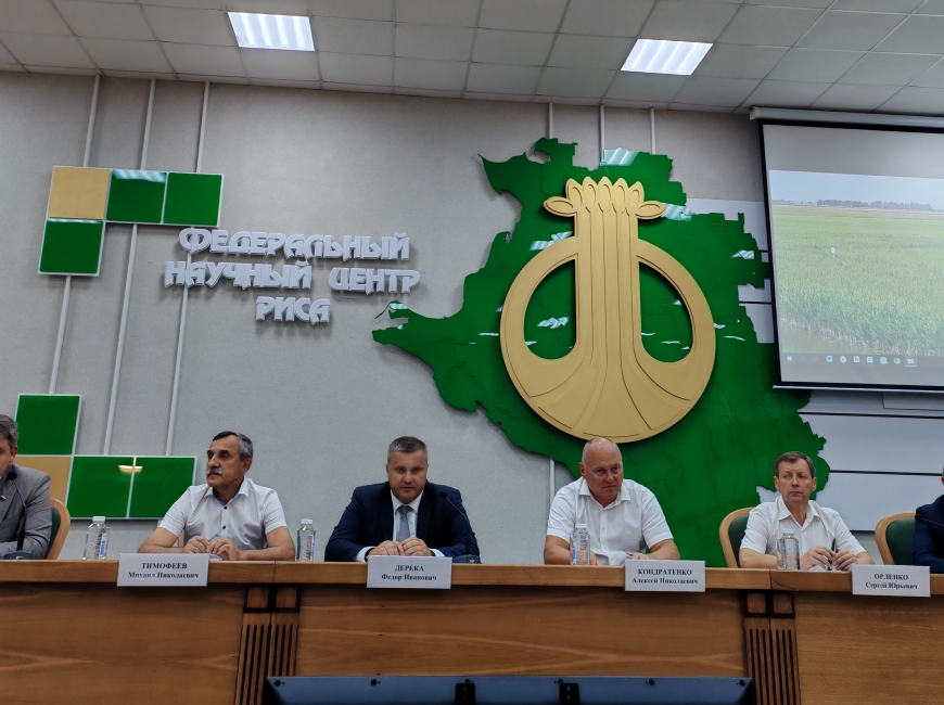 В ФНЦ риса прошел День поля фото 4