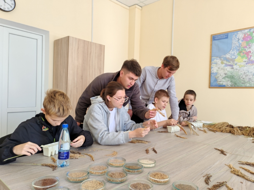 Итоги фестиваля «Наука 0+ Кубань»  фото 5