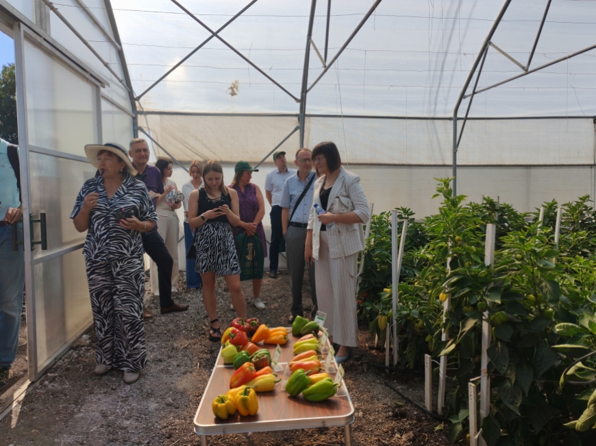 В ФНЦ риса прошел День поля овощных и бахчевых культур фото 3