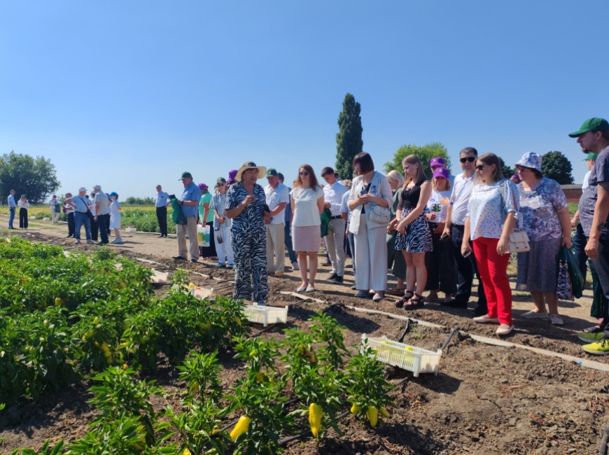 В ФНЦ риса прошел День поля овощных и бахчевых культур фото 1