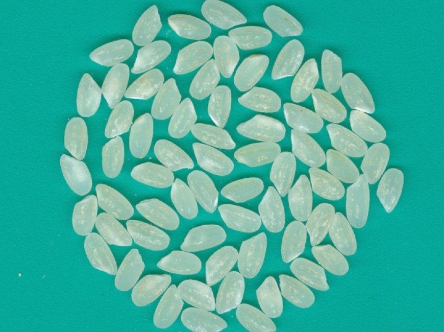 АПОЛЛОН фото 3