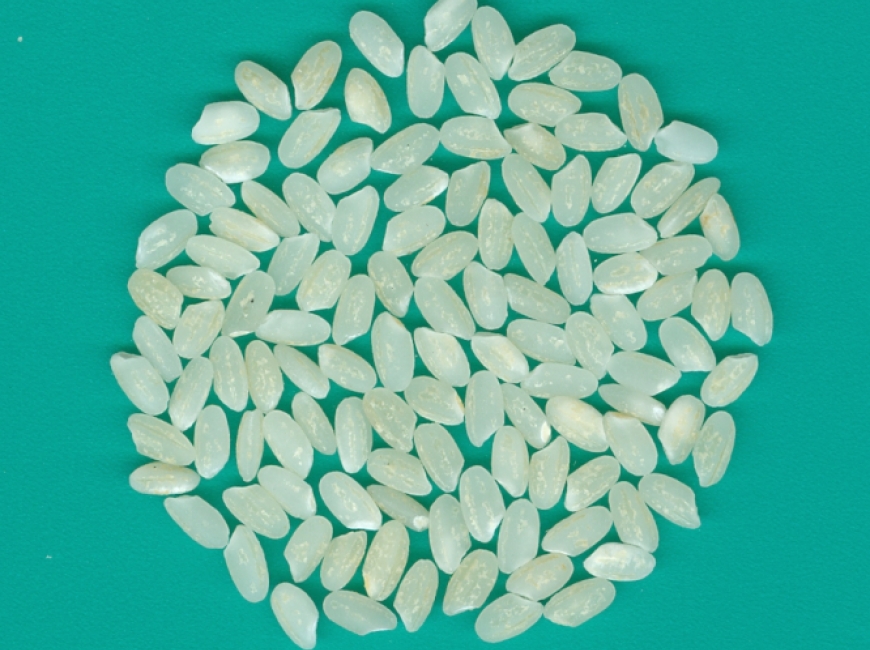 АЗОВСКИЙ фото 3